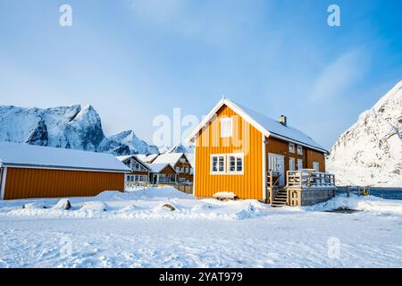 Traditionelles gelbes Rorbu-Haus im Fischerdorf Sakrisoy auf den Lofoten-Inseln, Norwegen. Winterlandschaft mit schneebedeckten Bergen und skandinavischem Cottage. Stockfoto