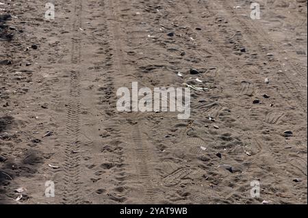 Sonnenlicht strahlt sanfte Wärme auf einem unbefestigten Pfad mit einzigartigen Fußspuren und Reifenspuren aus, die auf die verschiedenen Reisenden hinweisen, die dieses gebiet erkundet haben Stockfoto