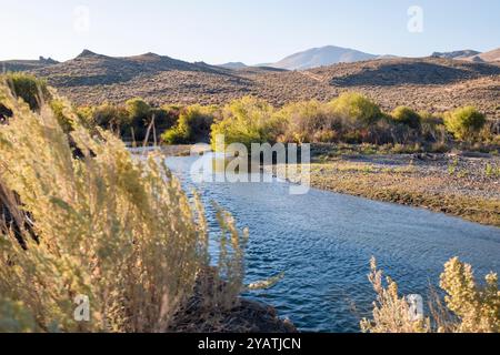 Open Range entlang des Salmon Falls Creek im Great Basin südlich von Jackpot, Nevada Stockfoto