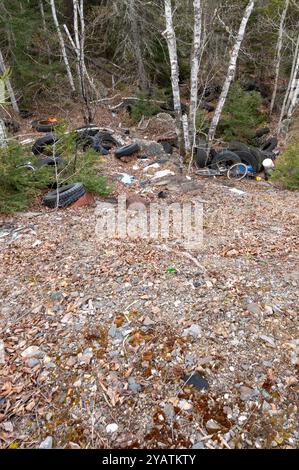 Capreol, Ontario, Kanada – 1. Mai 2021: Mehrere gebrauchte Autoreifen und andere Müll werden im Wald entsorgt, um Deponiekosten zu vermeiden Stockfoto