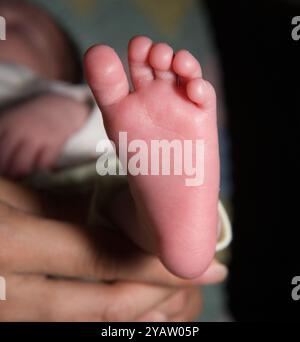 Wirbel- und Gratmuster am Fuß eines Babys. Wie Fingerabdrücke und Handabdrücke sind Fußabdrücke und Fußabdrücke einzigartig. Stockfoto