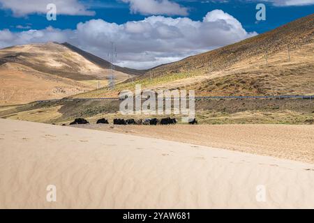 Sanddünen rund um den See Manasarovar ist ein großer Süßwassersee, der von den Kailash Gletschern in der Nähe des Kailash in Tibet gespeist wird Stockfoto