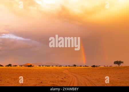 Regenbogen und Wolken über trockenem Wüstensand Namibia Stockfoto