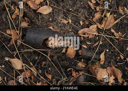 Eine zerbrochene Flasche liegt auf dem Boden inmitten von Herbstblättern und verstreut ihre scharfen, ungleichmäßigen Scherben. Stockfoto