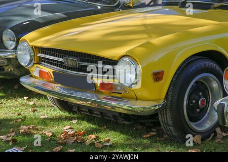 Gelber Triumph tr6 auf Gras geparkt mit Front- und Scheinwerfer Stockfoto