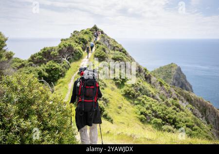 Man wandert auf dem Cape Brett Walkway. Nicht erkennbare Rucksacktouristen in der Ferne. Bay of Islands. Neuseeland Stockfoto