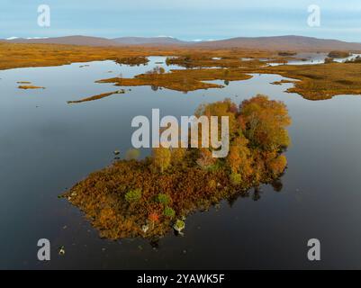 Luftaufnahme von der Drohne auf die herbstliche Landschaft der kleinen Insel und Blick auf Loch Ba im Rannoch Moor in Scottish Highlands, Schottland, Großbritannien Stockfoto