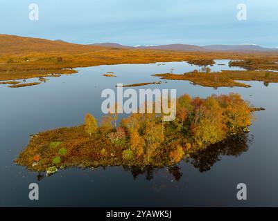 Luftaufnahme von der Drohne auf die herbstliche Landschaft der kleinen Insel und Blick auf Loch Ba im Rannoch Moor in Scottish Highlands, Schottland, Großbritannien Stockfoto