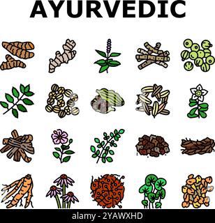 ayurvedische Kräuter Medizin Gesundheit Symbole setzen Vektor Stock Vektor