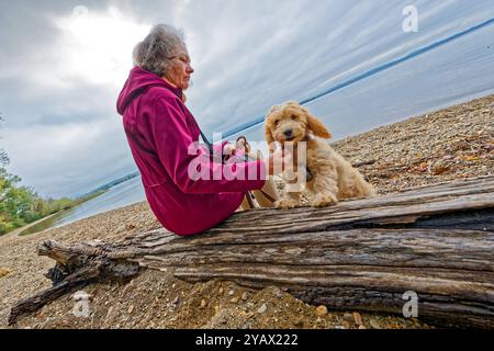 Der treue Begleiter. Die Frau mit ihrem Hund am Seeufer. Feldwies Bayern Deutschland *** die treue Begleiterin der Frau mit ihrem Hund am Seeufer Feldwies Bayern Deutschland Copyright: XRolfxPossx Stockfoto