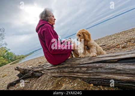 Der treue Begleiter. Die Frau mit ihrem Hund am Seeufer. Feldwies Bayern Deutschland *** die treue Begleiterin der Frau mit ihrem Hund am Seeufer Feldwies Bayern Deutschland Copyright: XRolfxPossx Stockfoto