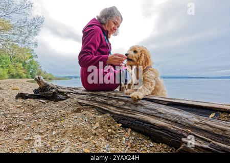 Der treue Begleiter. Die Frau mit ihrem Hund am Seeufer. Feldwies Bayern Deutschland *** die treue Begleiterin der Frau mit ihrem Hund am Seeufer Feldwies Bayern Deutschland Copyright: XRolfxPossx Stockfoto