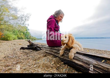 Der treue Begleiter. Die Frau mit ihrem Hund am Seeufer. Feldwies Bayern Deutschland *** die treue Begleiterin der Frau mit ihrem Hund am Seeufer Feldwies Bayern Deutschland Copyright: XRolfxPossx Stockfoto