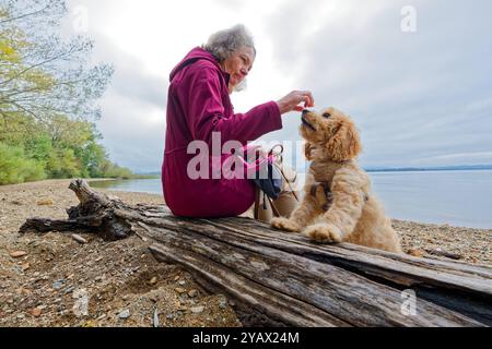 Der treue Begleiter. Die Frau mit ihrem Hund am Seeufer. Feldwies Bayern Deutschland *** die treue Begleiterin der Frau mit ihrem Hund am Seeufer Feldwies Bayern Deutschland Copyright: XRolfxPossx Stockfoto