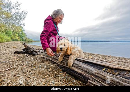 Der treue Begleiter. Die Frau mit ihrem Hund am Seeufer. Feldwies Bayern Deutschland *** die treue Begleiterin der Frau mit ihrem Hund am Seeufer Feldwies Bayern Deutschland Copyright: XRolfxPossx Stockfoto