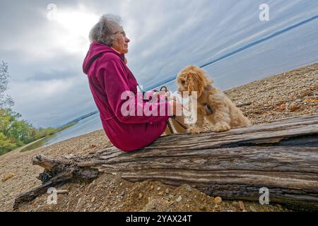 Der treue Begleiter. Die Frau mit ihrem Hund am Seeufer. Feldwies Bayern Deutschland *** die treue Begleiterin der Frau mit ihrem Hund am Seeufer Feldwies Bayern Deutschland Copyright: XRolfxPossx Stockfoto