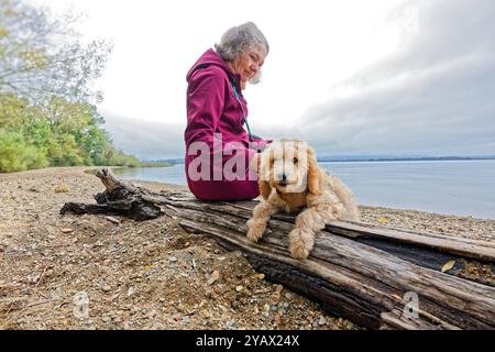 Der treue Begleiter. Die Frau mit ihrem Hund am Seeufer. Feldwies Bayern Deutschland *** die treue Begleiterin der Frau mit ihrem Hund am Seeufer Feldwies Bayern Deutschland Copyright: XRolfxPossx Stockfoto