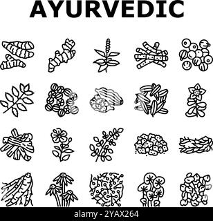 ayurvedische Kräuter Medizin Gesundheit Symbole setzen Vektor Stock Vektor