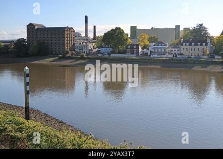 Themse in Mortlake, West London, Großbritannien. Die Hirsch-Brauerei, der Schiffspub und die Häuser an der Themse Bank. Blick vom Nordufer. Stockfoto