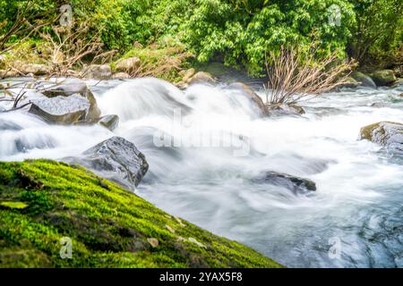 Wunderschöner Blick auf einen natürlichen Teich in einem grünen Wald. Stockfoto