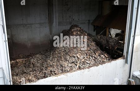 THEMENBILD - Projekt "die Zukunft erfassen": Illustration der Biomasse-KWK-Anlage, Aufnahme in der Biomasse-KWK-Anlage in Ybbs, Österreich, 14. Juni 2024. Biomasse für die Verbrennung - 20240614 PD25891 Stockfoto