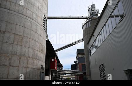 THEMENBILD - Projekt "die Zukunft erfassen": Illustration der Biomasse-KWK-Anlage, Aufnahme in der Biomasse-KWK-Anlage in Ybbs, Österreich, 14. Juni 2024. Außenanlagen - 20240614 PD25893 Stockfoto