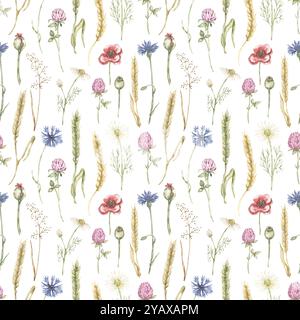 Aquarell handgezeichnete Wiesenflorale nahtloses Muster, grafische Feldpflanzen wiederholen Papier, Wildblumenmuster Stockfoto
