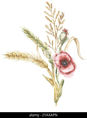 Aquarell handgezeichnete Wiesenblüten und Weizenstamm-Bouquet, grafische Feldpflanzen-Anordnung, Wildblumenkomposition Stockfoto