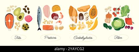 Lebensmittelgruppen für Makronährstoffe. Cartoon ausgewogene Mahlzeit mit Proteinen Kohlenhydrate und Fette, gesunde Ernährung mit komplexen Proteinen und Fetten. Vektor-isolierter Satz Stock Vektor