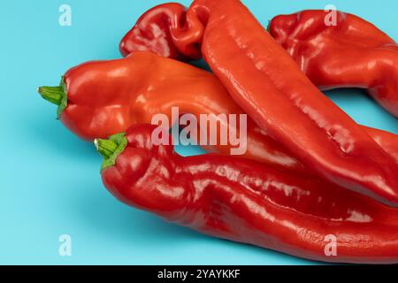 Haufen roter Paprika, isoliert auf blauem Hintergrund Stockfoto