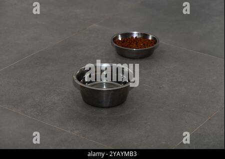 Zwei Schalen aus Edelstahl sitzen auf einem glatten Boden, eine mit Trockenfutter und die andere mit frischem Wasser gefüllt, bereit für die Mahlzeiten eines Haustiers. Stockfoto