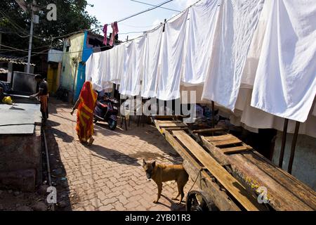 Wäscherei in Slum in der Nähe von Colaba, Mumbai, Indien Stockfoto