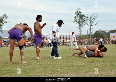 Indien, Punjab, Anadphur, Spott, kämpfen Stockfoto