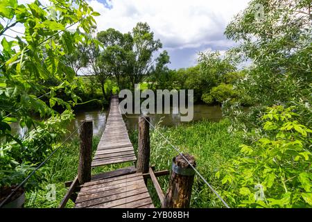 Hängebrücke, Gehweg zu den Abenteuerlustigen, überqueren Sie die andere Seite. Stockfoto