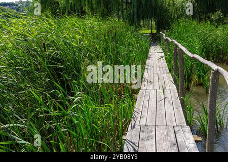 Hängebrücke, Gehweg zu den Abenteuerlustigen, überqueren Sie die andere Seite. Stockfoto