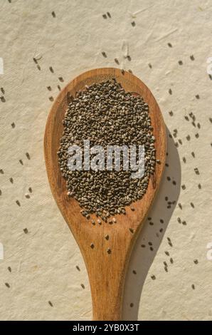 Flacher Holzlöffel gefüllt mit kleinen Samen von Chia, die auf beigefarbenem Hintergrund liegen. Hochwertige Fotos Stockfoto