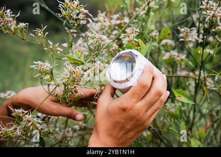 Hausgemachte Lochkamera oder stenopeische Kamera, hergestellt mit einer Dose und in der Natur installiert. DIY-Fotokamera-Experiment Stockfoto