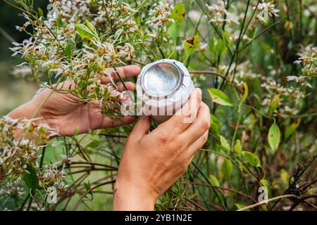 Hausgemachte Lochkamera oder stenopeische Kamera, hergestellt mit einer Dose und in der Natur installiert. DIY-Fotokamera-Experiment Stockfoto