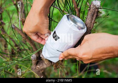 Hausgemachte Lochkamera oder stenopeische Kamera, hergestellt mit einer Dose und in der Natur installiert. DIY-Fotokamera-Experiment Stockfoto