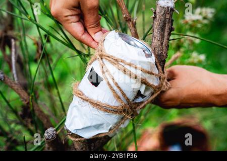 Hausgemachte Lochkamera oder stenopeische Kamera, hergestellt mit einer Dose und in der Natur installiert. DIY-Fotokamera-Experiment Stockfoto