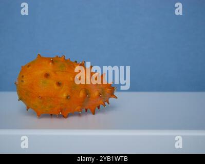 Kiwano Cucumis Metulifer tropische Früchte aus nächster Nähe auf blauem Hintergrund. Stockfoto