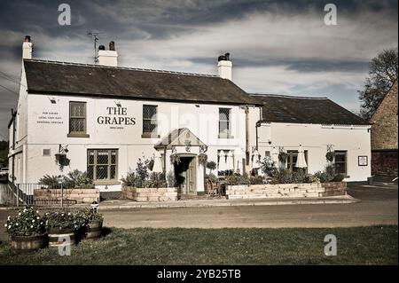 The Grapes Pub Green, Preston, UK Stockfoto