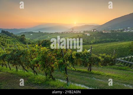 Prosecco Hills, Weinberge und San Pietro di Barbozza Dorf bei Sonnenuntergang. Unesco-Stätte. Valdobbiadene, Provinz Treviso, Region Venetien, Italien, Europa. Stockfoto