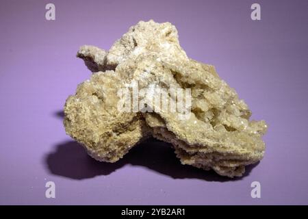 Alte alte versteinerte Holz, Ausgrabung, Mineralien, als schöner Hintergrund Nahaufnahme Vorderansicht schmale Fokuslinie, geringe Tiefenschärfe Makro Stockfoto