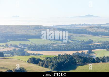 Blick auf Ost- und West-Lomond von Kinpurney Hill, Newtyle, Angus, Schottland Stockfoto