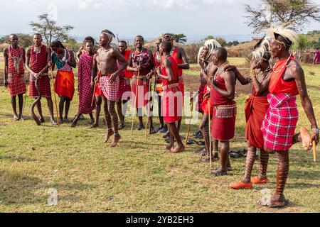 Adumu, auch bekannt als der Maasai Jumping Dance, ist eine Tanzart, die die Maasai in Kenia und Tansania praktizieren. Junge Maasai Krieger General Stockfoto