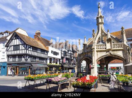 Blume- und Pflanzenstand am historischen Marktkreuz oder Geflügelkreuz und Minster Street Salisbury Stadtzentrum Salisbury Wiltshire England Großbritannien GB Europa Stockfoto