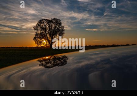 Lietzen, Deutschland. Oktober 2024. Der Sonnenuntergang scheint mit einem einzigen Kastanienbaum auf einem Feld im Osten Brandenburgs über die Landschaft und spiegelt sich in der Motorhaube eines Autos wider. Quelle: Patrick Pleul/dpa/Alamy Live News Stockfoto