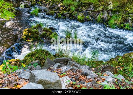 Ein Blick auf Stromschnellen am Deschuted River in Tumwater, Washington. Stockfoto