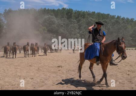 Cowboy und Pferdeherde in der Puszta, Ungarn Stockfoto